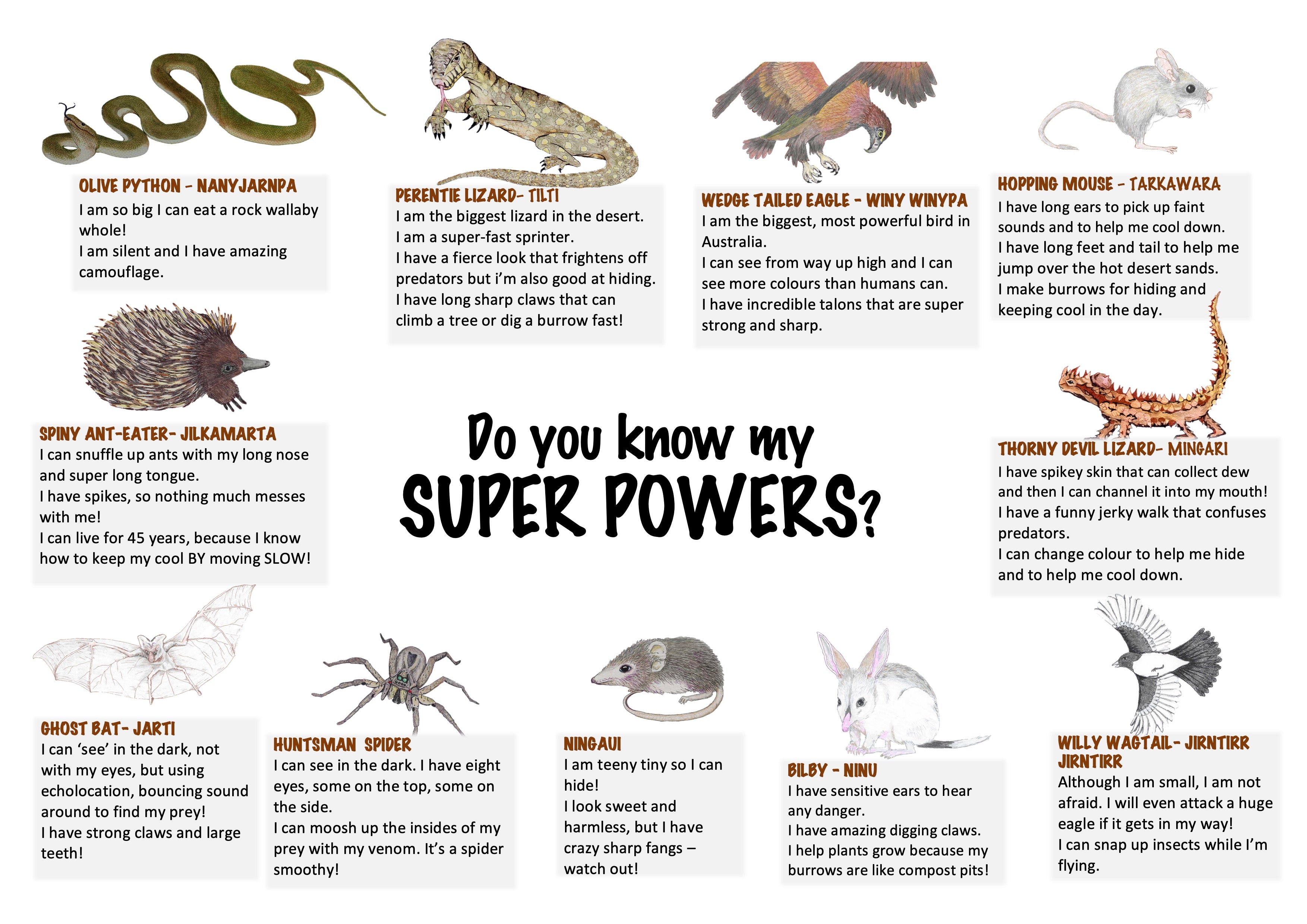Educational poster about animals with text describing their 'super powers'.