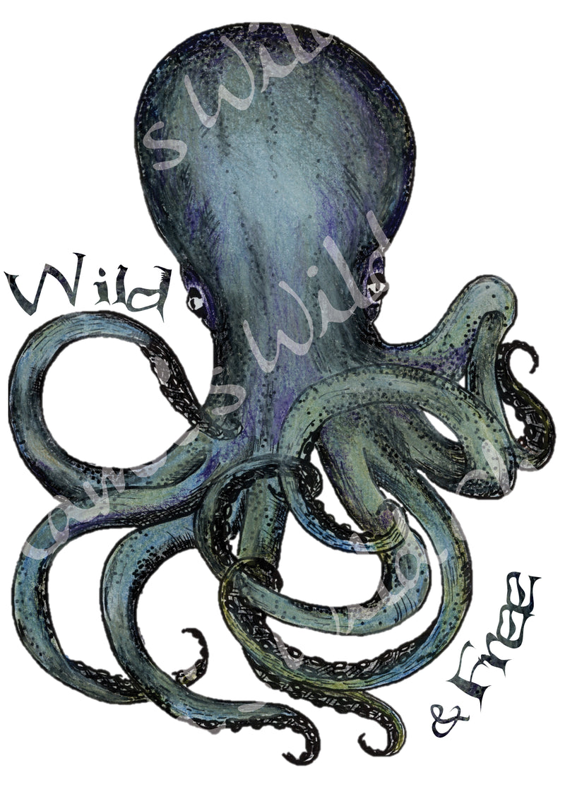 Wild and Free Octopus